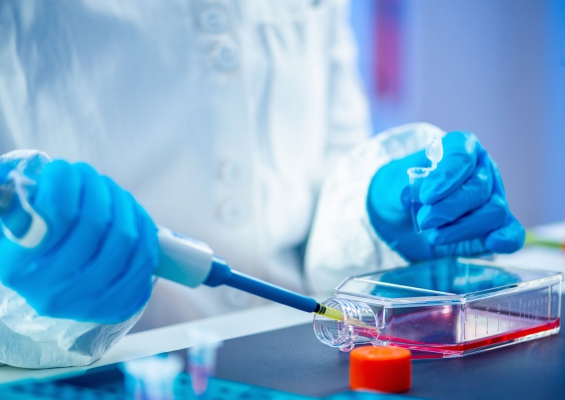 Photo - PHAR-EAST LIFE SCIENCE